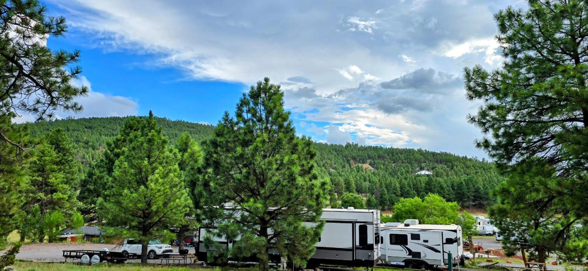 Cabin With A Mountain View 6B ウィリアムズ エクステリア 写真