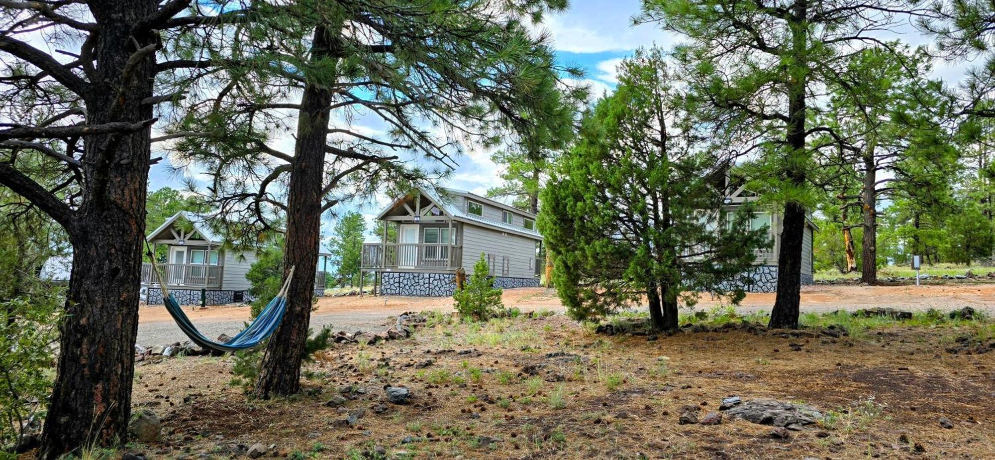 Cabin With A Mountain View 6B ウィリアムズ エクステリア 写真
