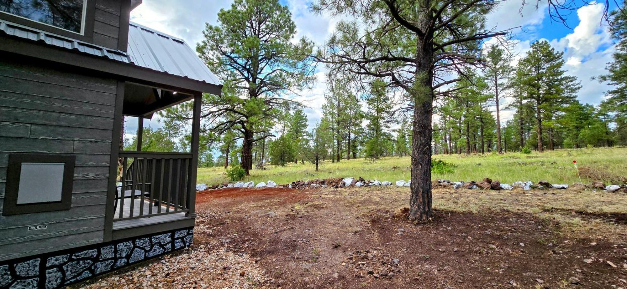 Cabin With A Mountain View 6B ウィリアムズ エクステリア 写真
